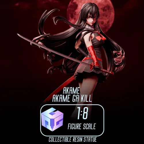 Akame Akame ga Kill | Maximum Detailed 16K 3D printed figure